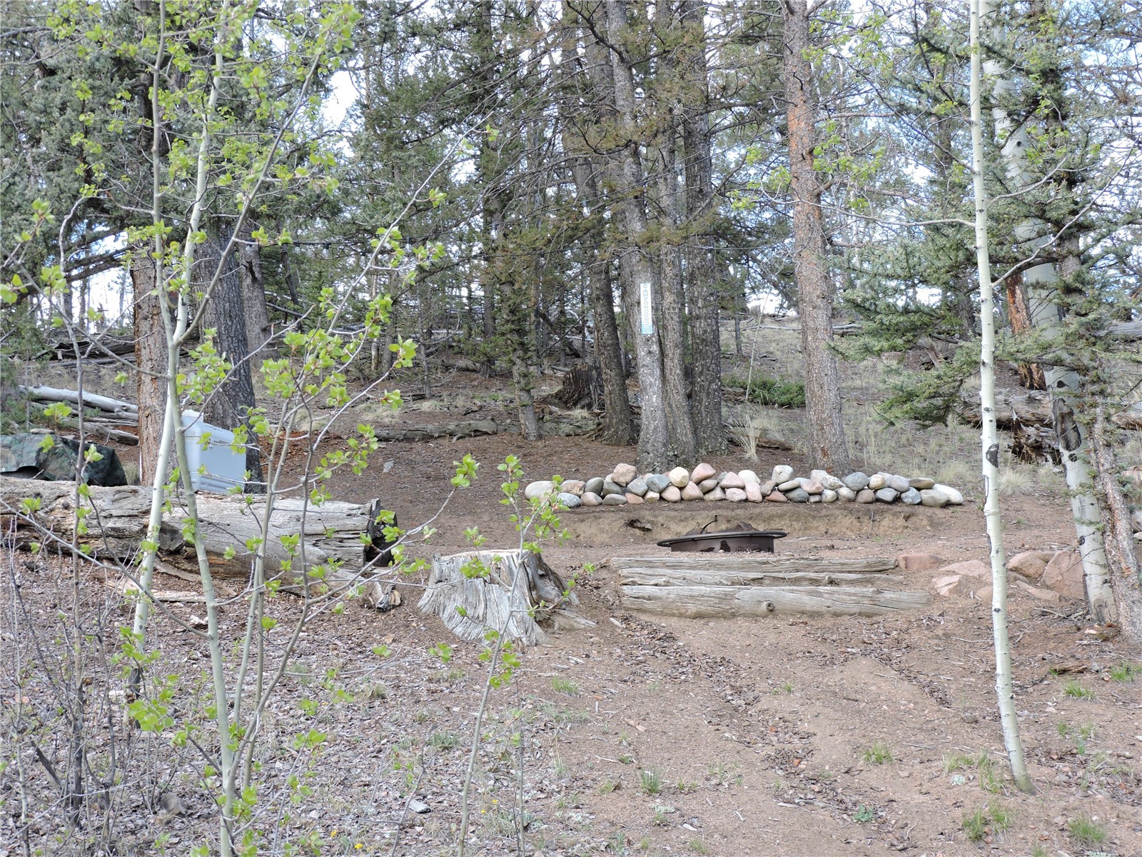 258 Old Squaw Road Property Photo 10
