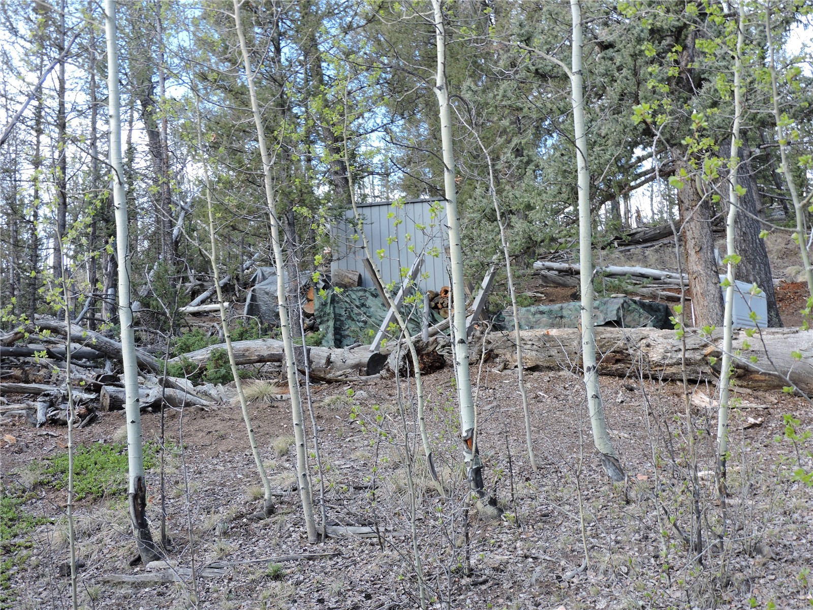 258 Old Squaw Road Property Photo 16