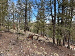 258 Old Squaw Road Property Photo 19