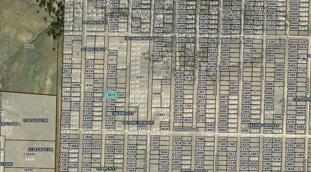 00004 Birch STREET Property Photo 1