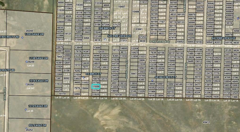 00008 Birch Street Property Photo 1