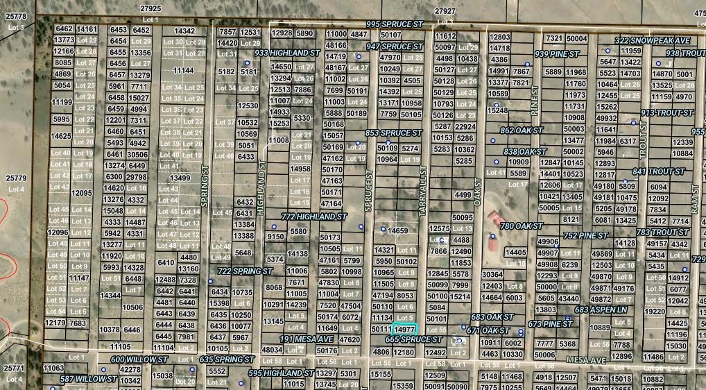 00 Tarryall Street Property Photo 1