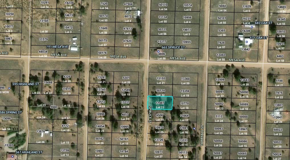 00 Spruce Street Property Photo 1