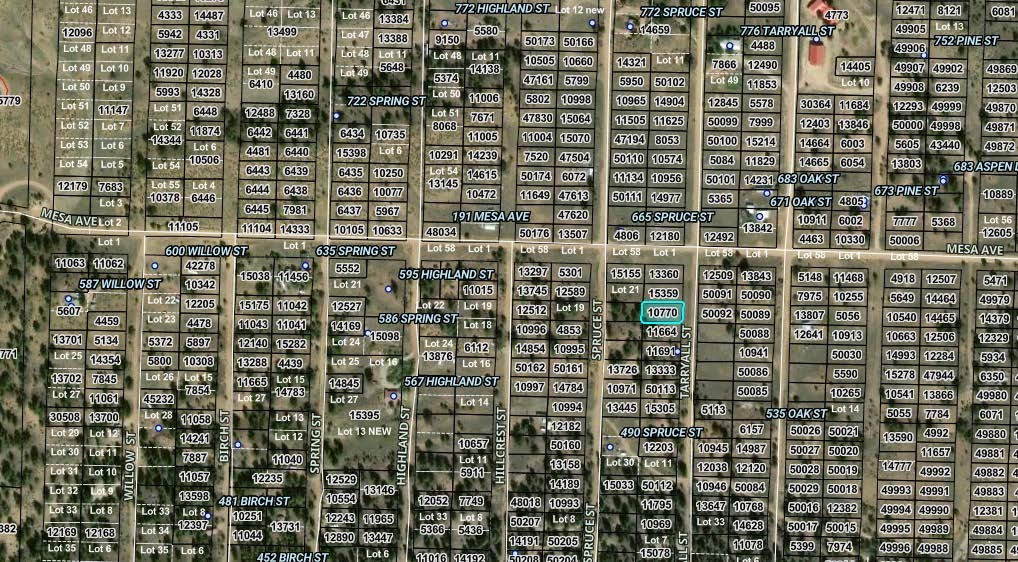 000 Tarryall Street Property Photo 1