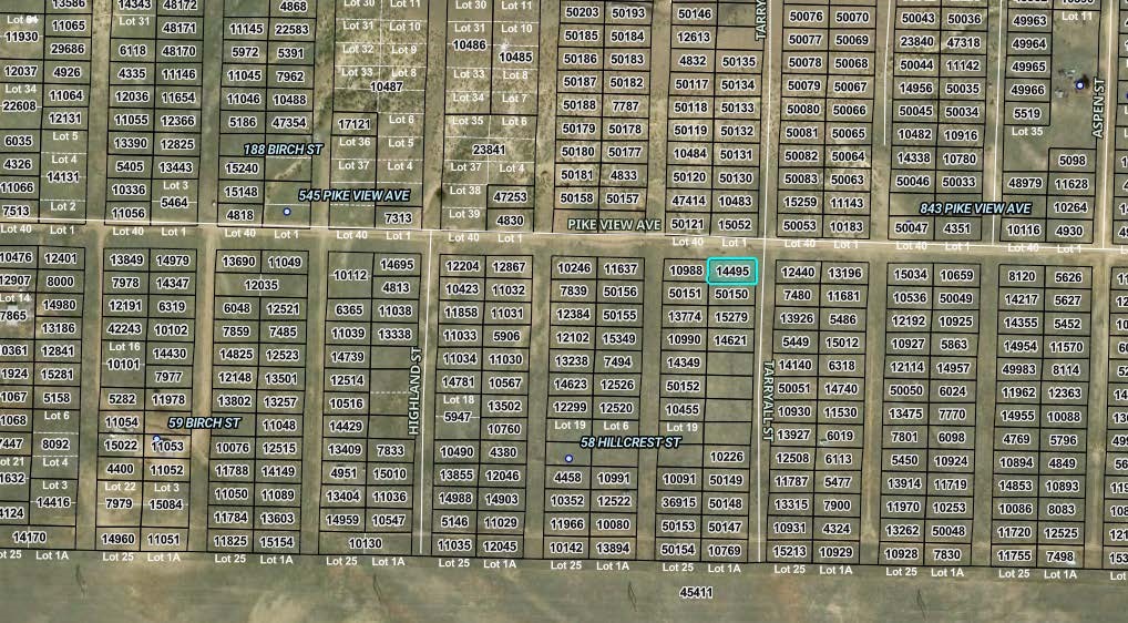 0000 Tarryall Street Property Photo 1