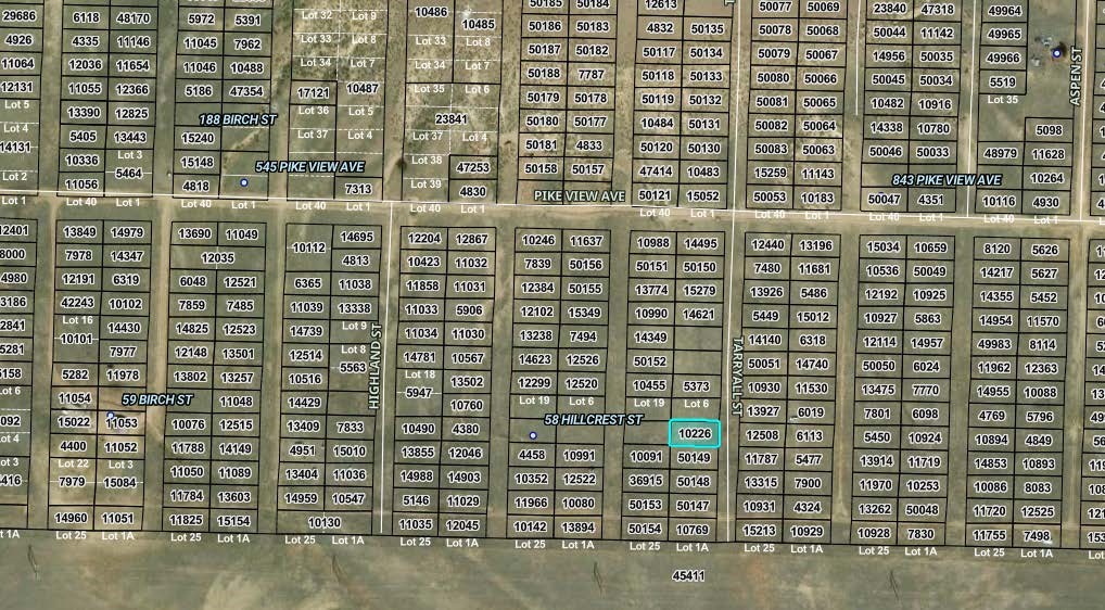 00001 Tarryall Street Property Photo 1