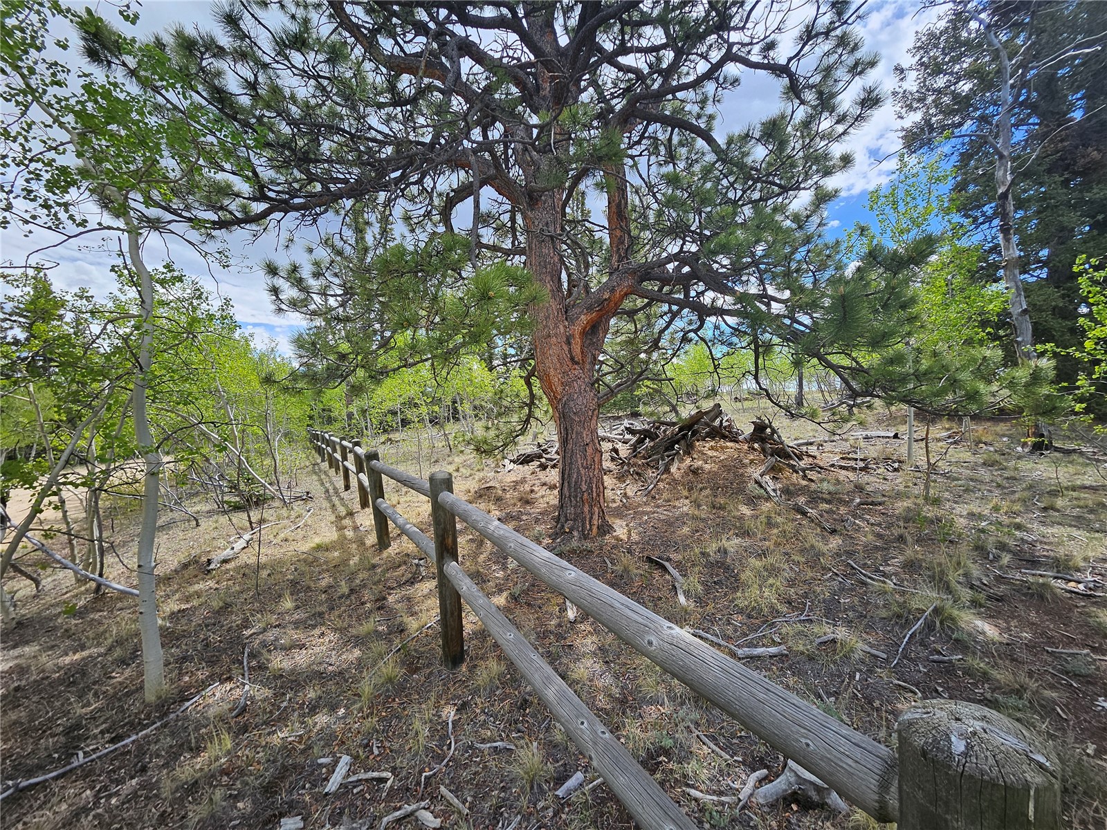 412 Smith And Wesson Road Property Photo 2
