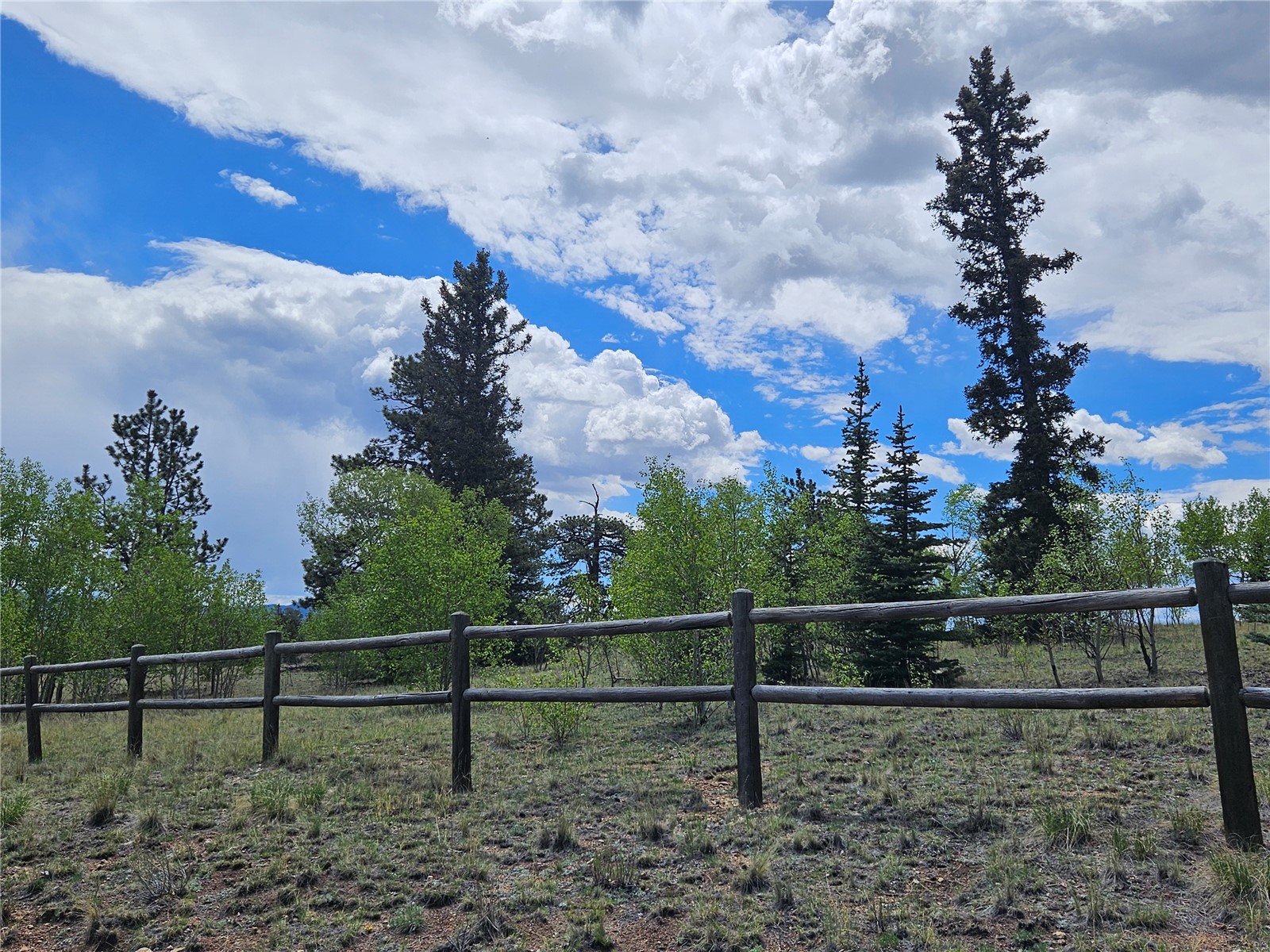 412 Smith And Wesson Road Property Photo 3
