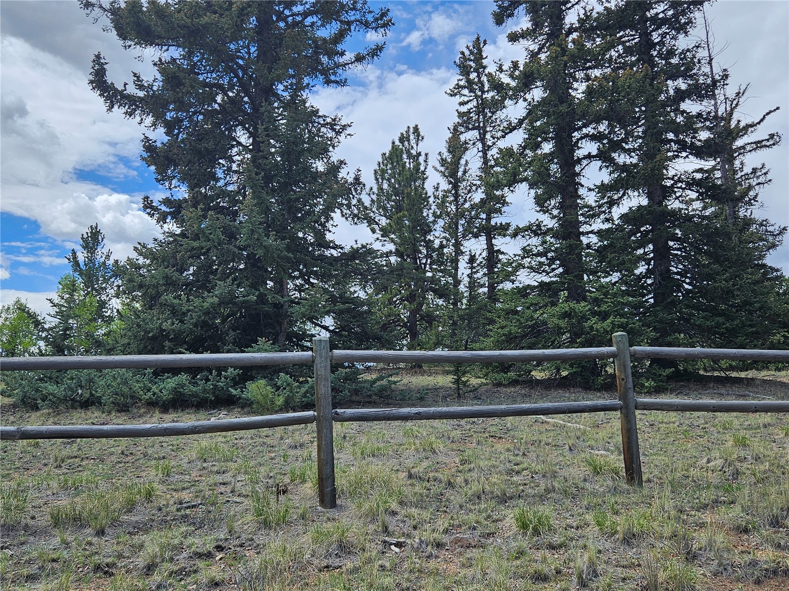 412 Smith And Wesson Road Property Photo 4