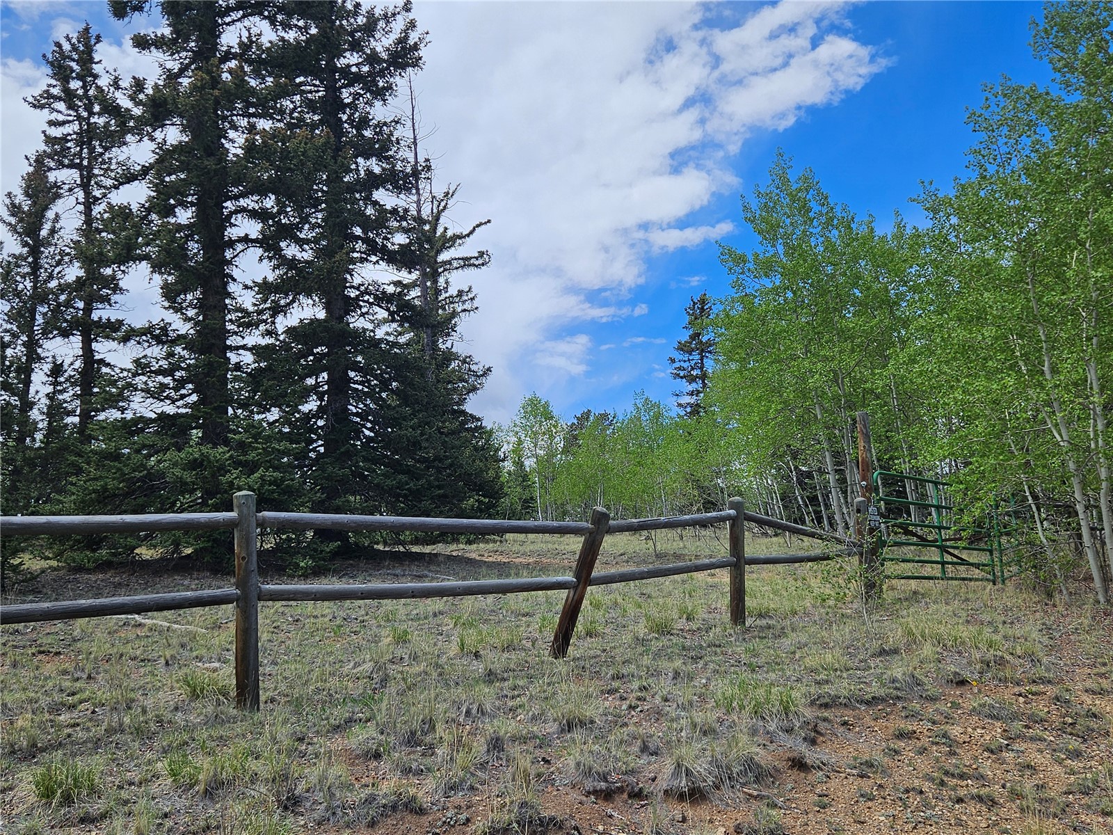 412 Smith And Wesson Road Property Photo 5