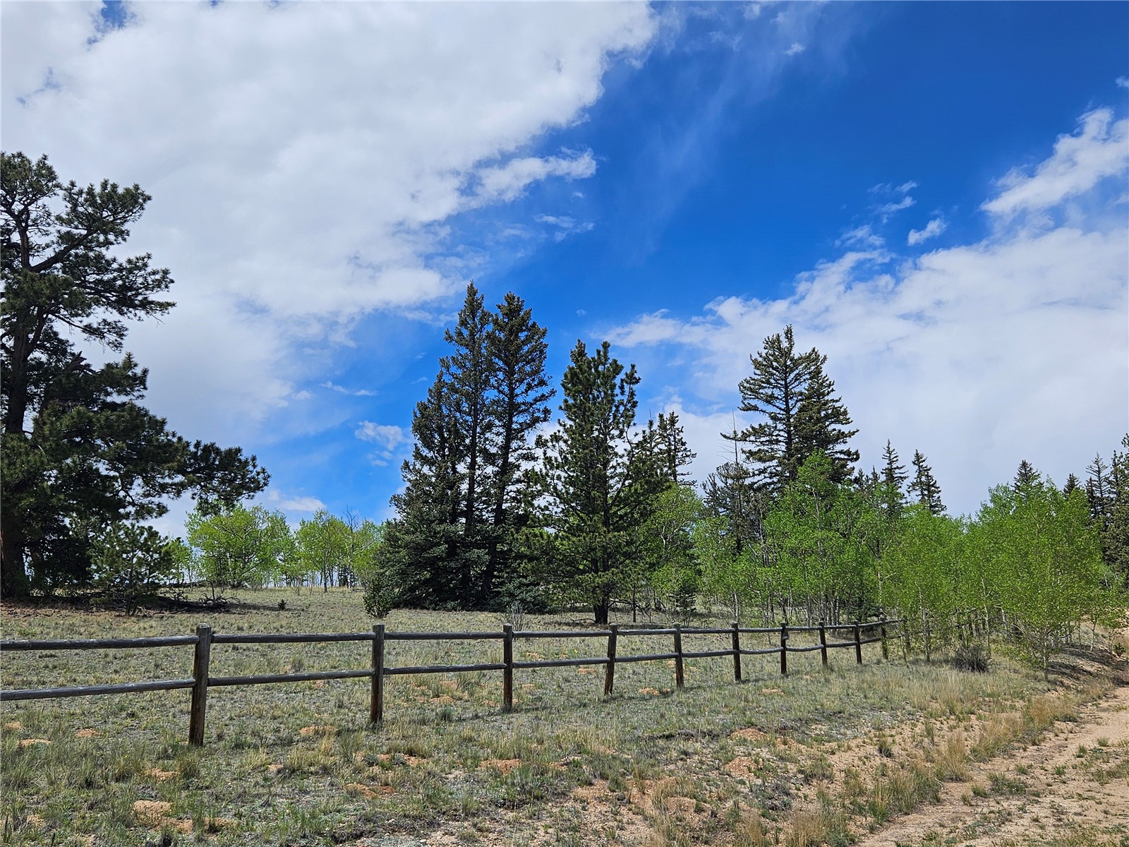 412 Smith And Wesson Road Property Photo 6