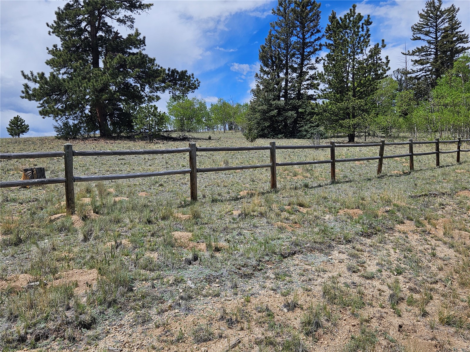 412 Smith And Wesson Road Property Photo 7