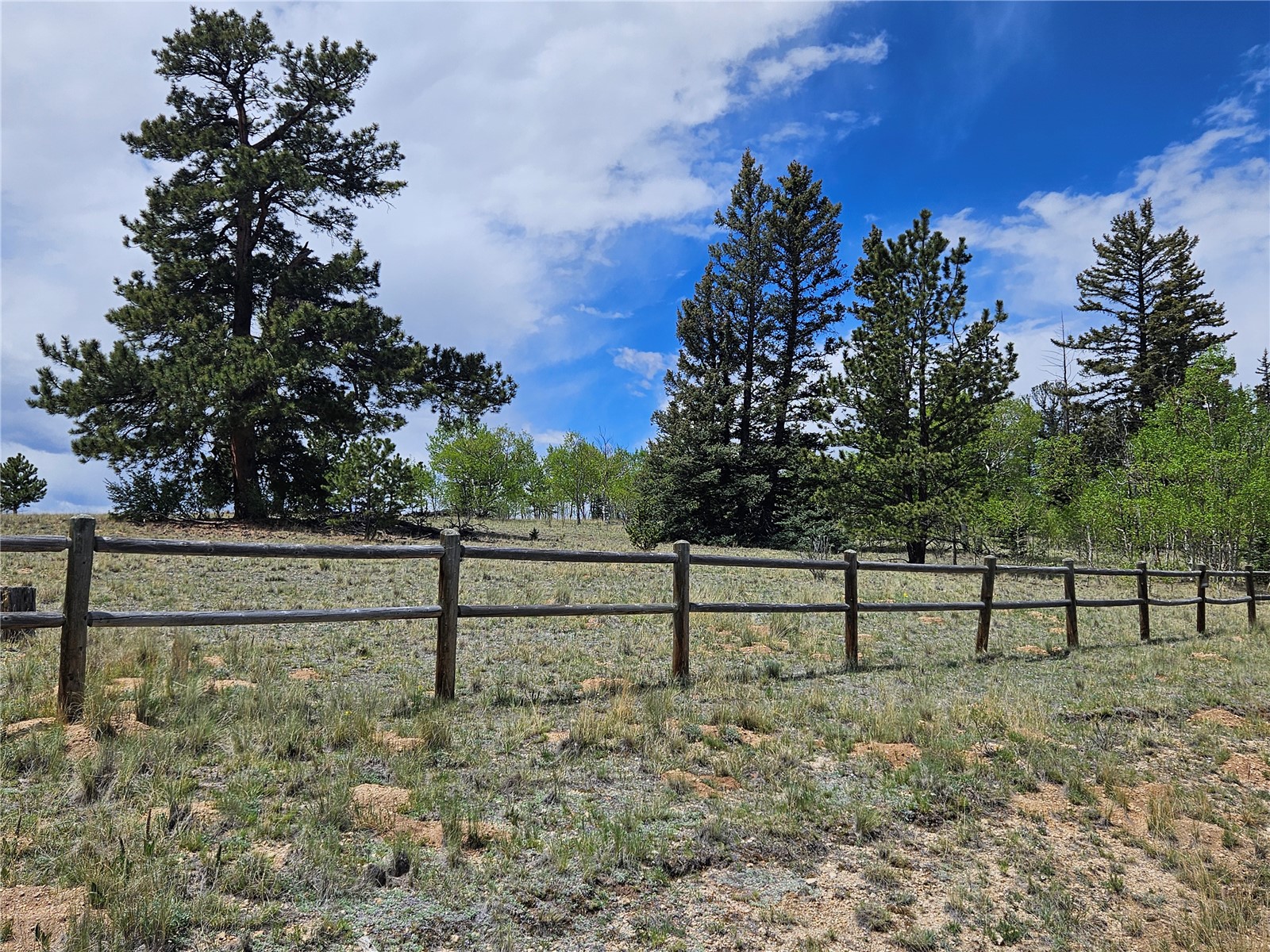 412 Smith And Wesson Road Property Photo 8