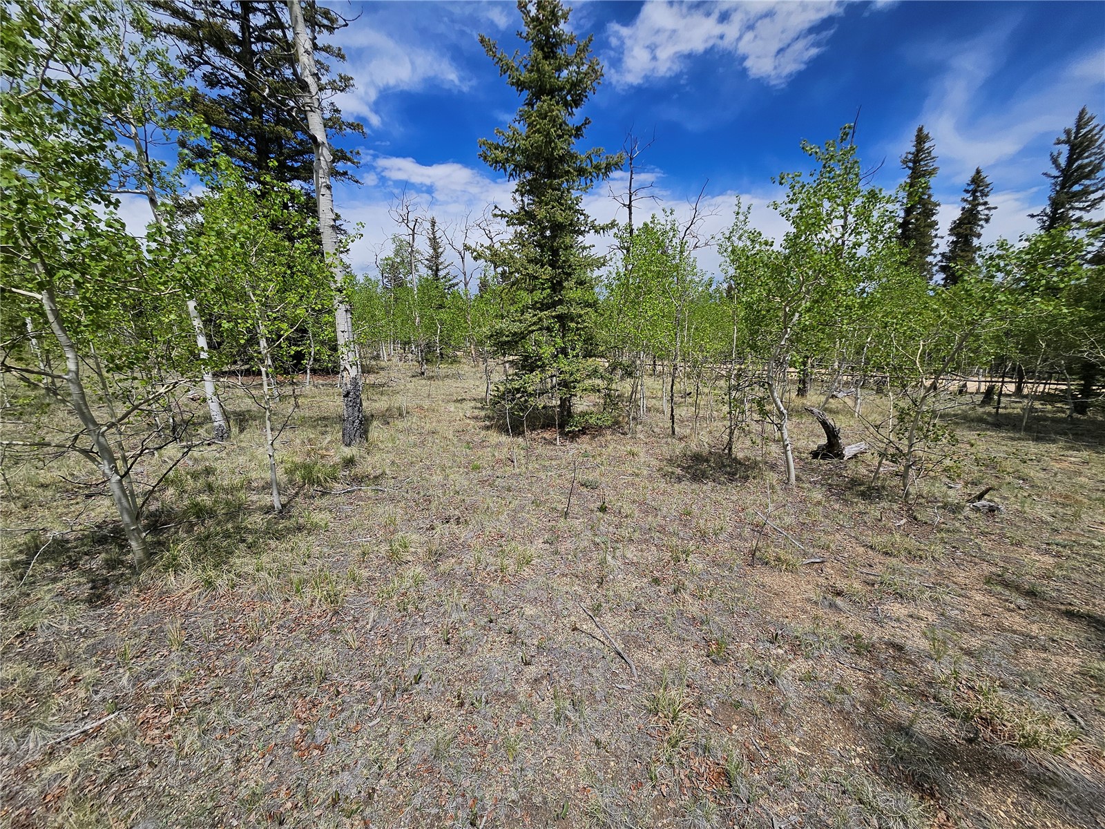 412 Smith And Wesson Road Property Photo 10