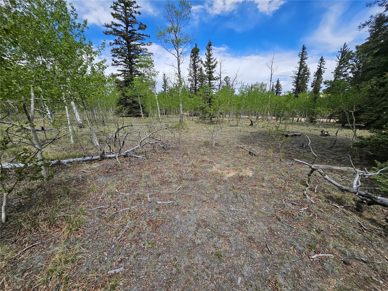 412 Smith And Wesson Road Property Photo 11