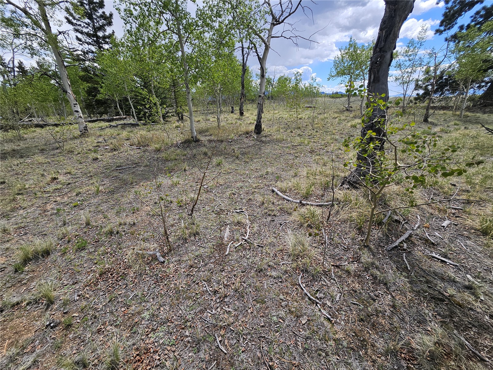 412 Smith And Wesson Road Property Photo 12
