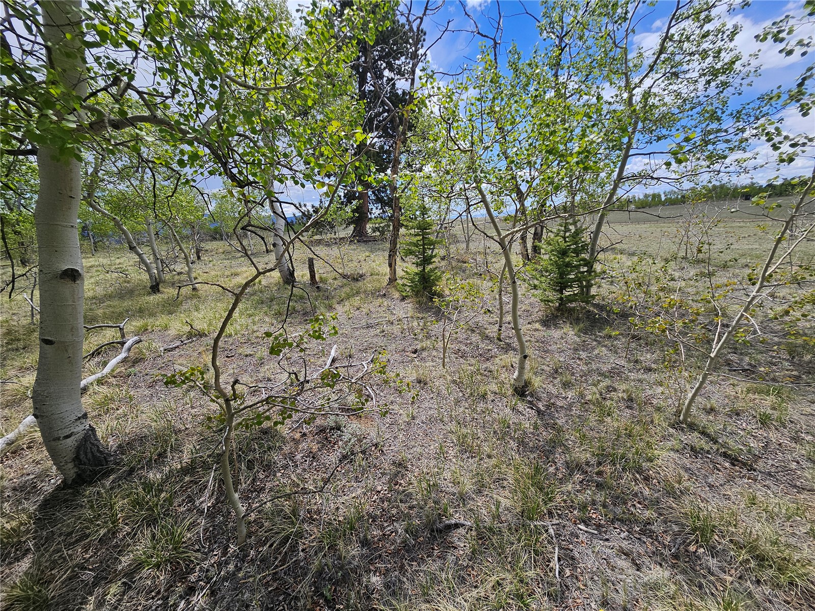 412 Smith And Wesson Road Property Photo 13