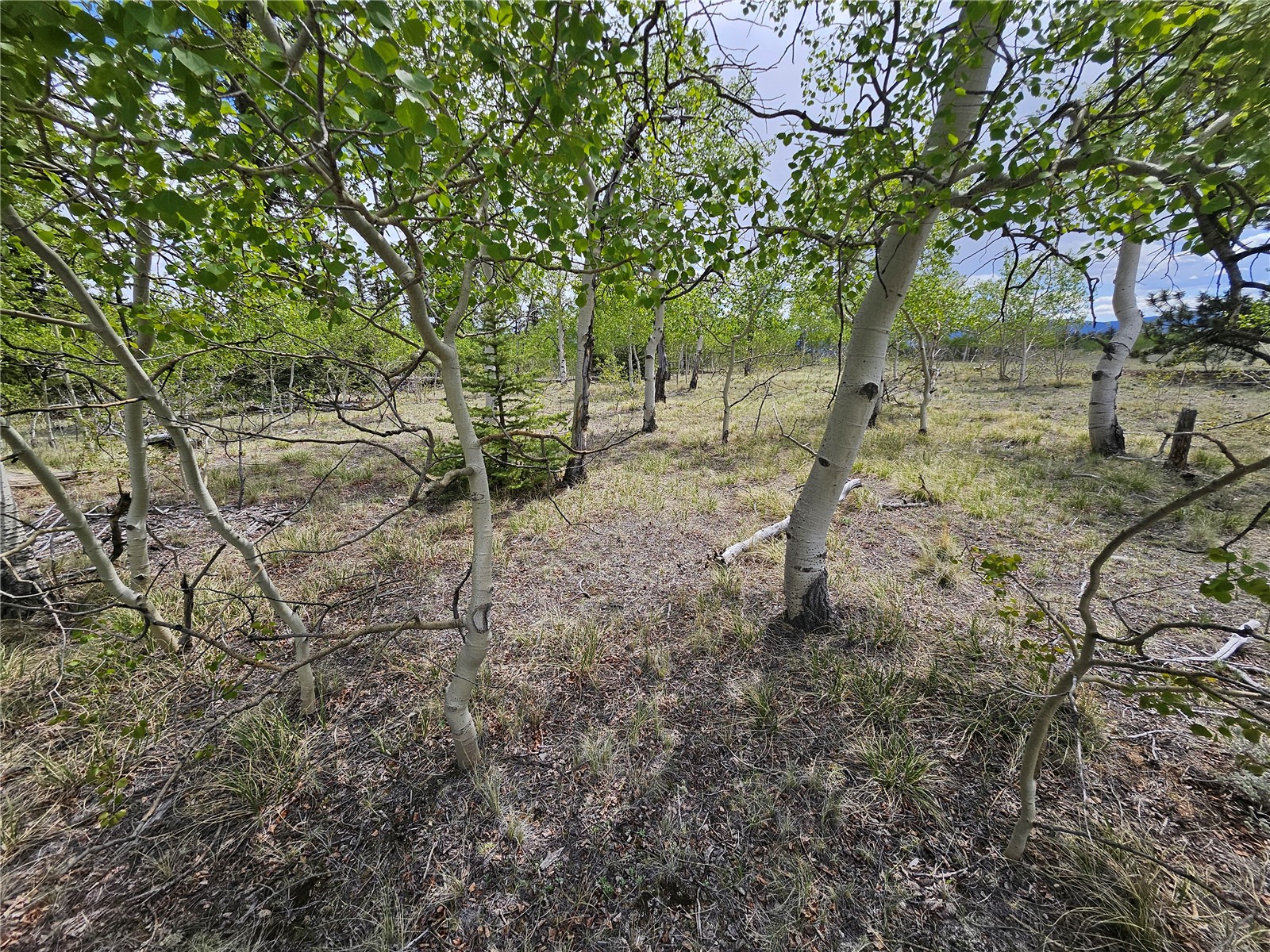 412 Smith And Wesson Road Property Photo 14