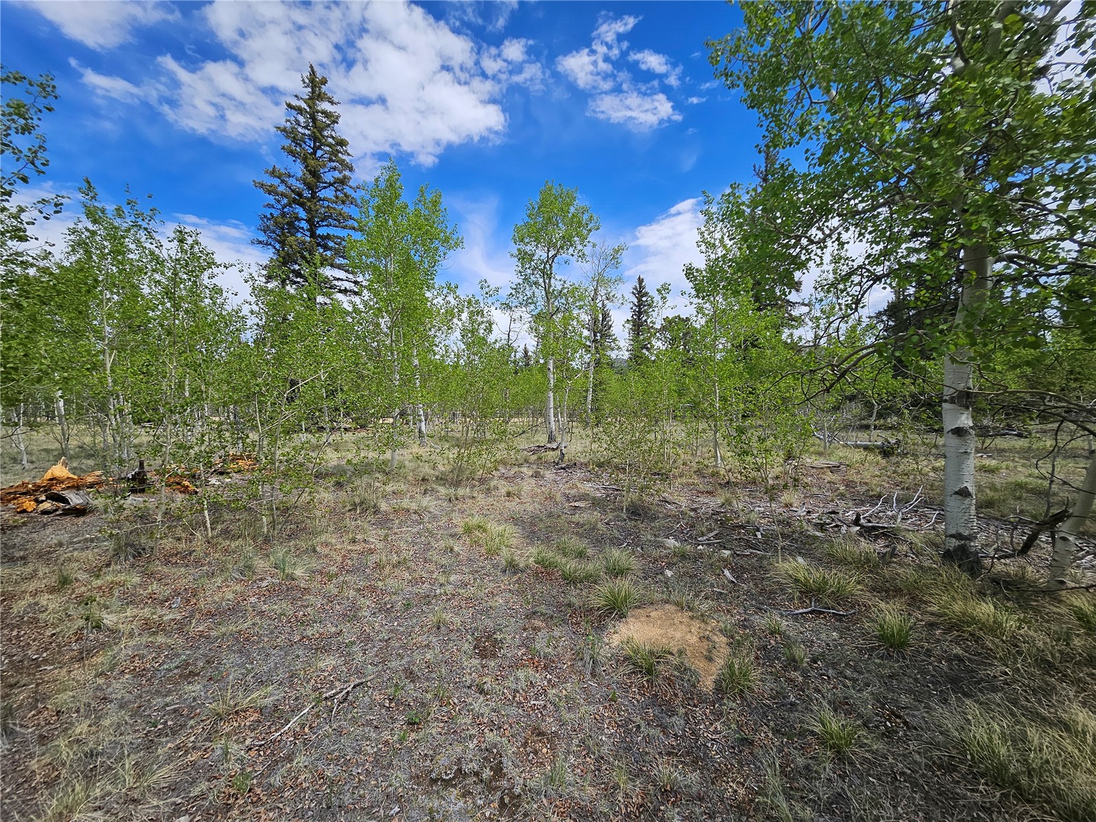 412 Smith And Wesson Road Property Photo 15