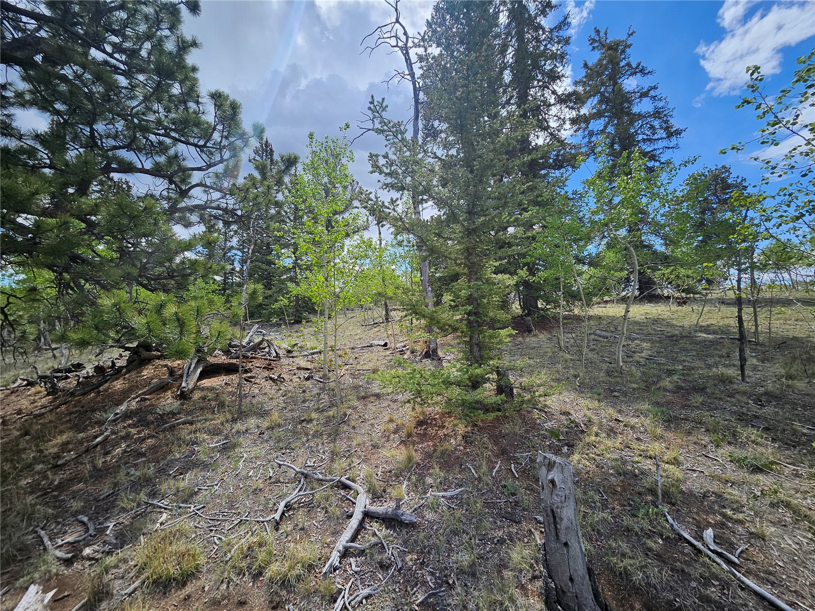 412 Smith And Wesson Road Property Photo 16