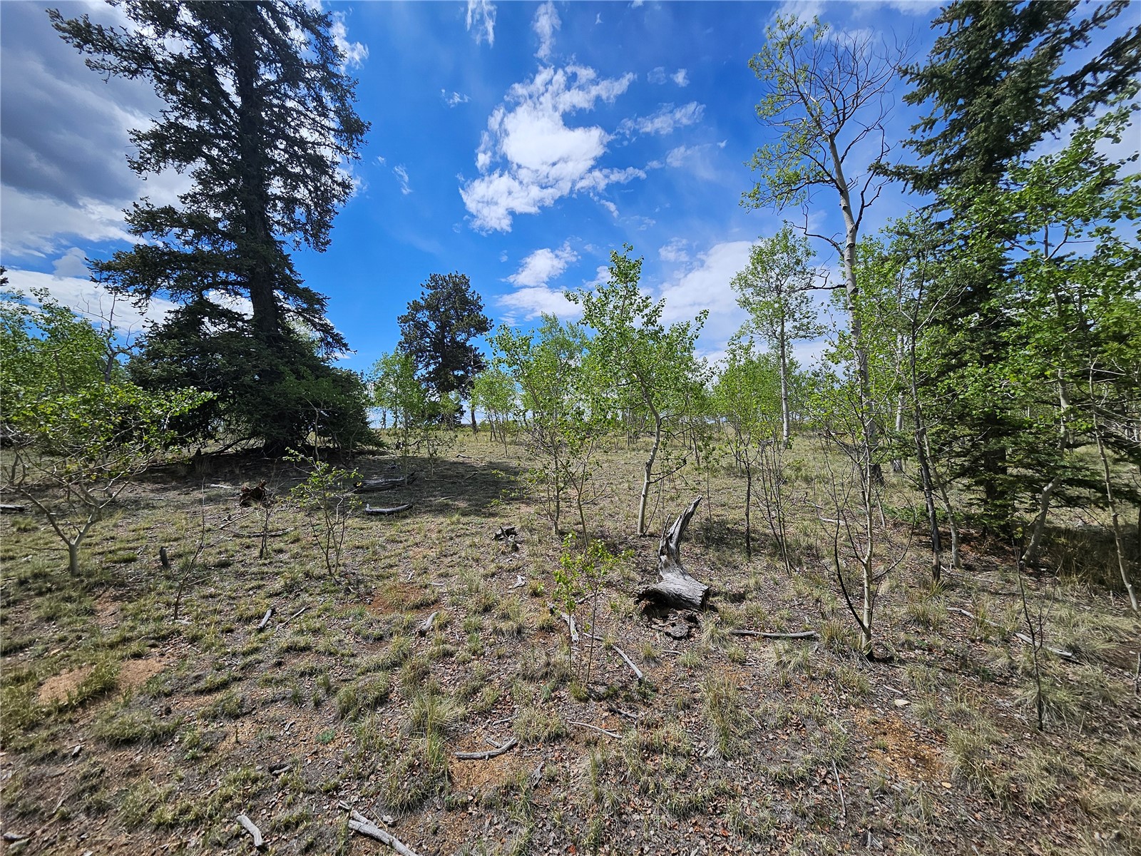 412 Smith And Wesson Road Property Photo 17