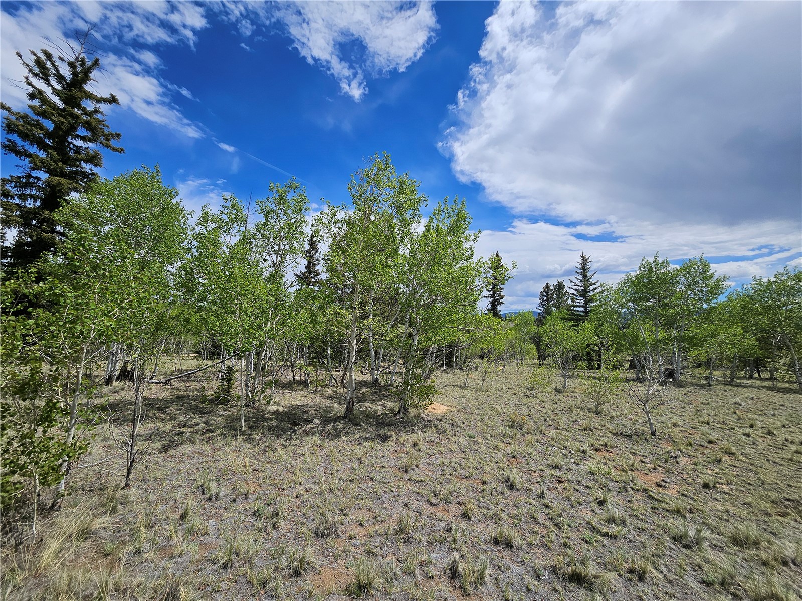 412 Smith And Wesson Road Property Photo 18