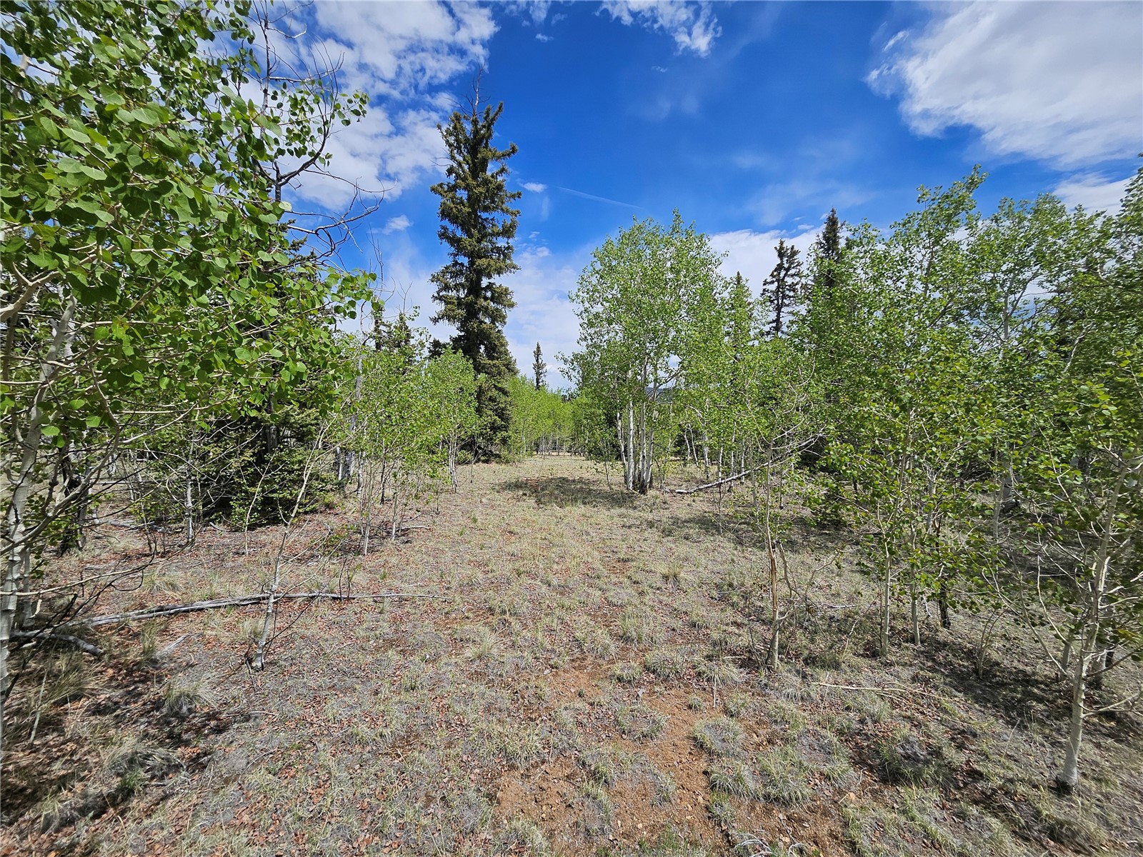 412 Smith And Wesson Road Property Photo 19