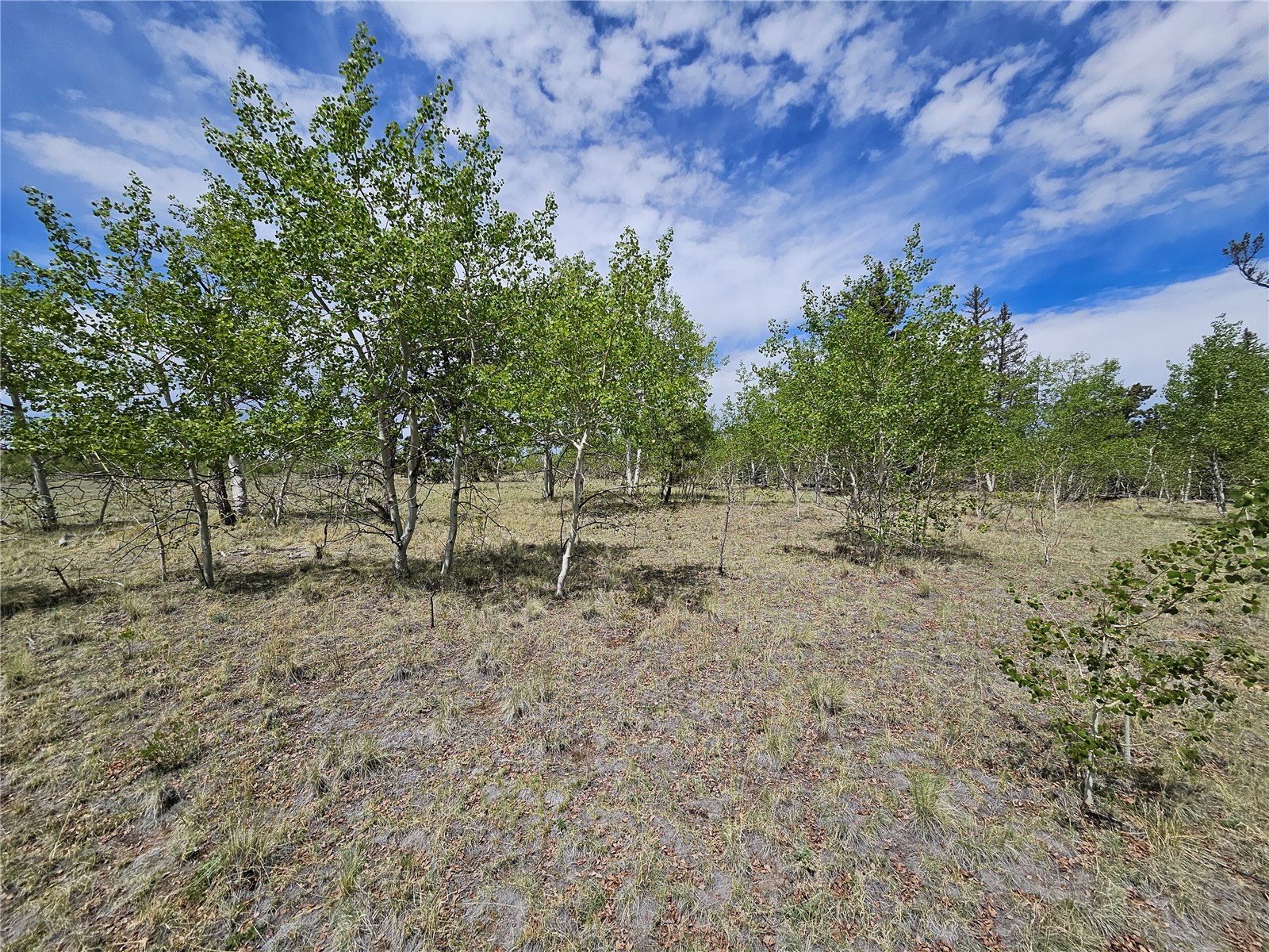 412 Smith And Wesson Road Property Photo 20