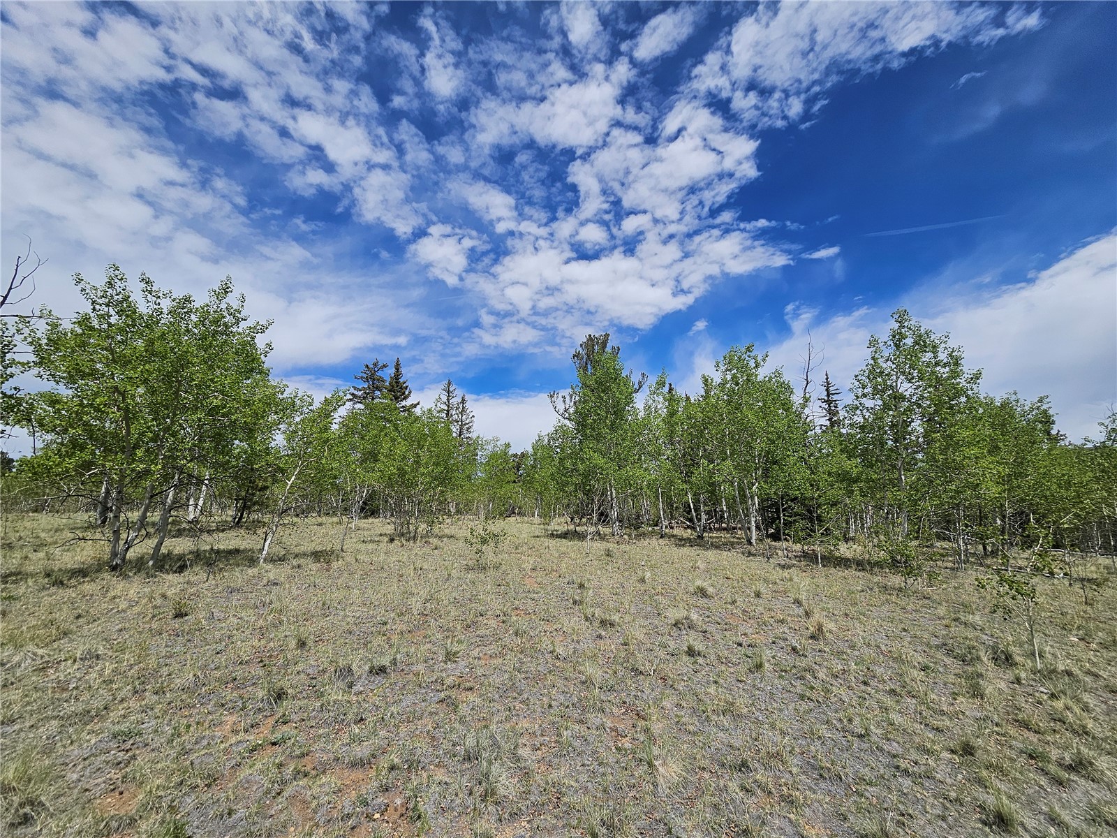 412 Smith And Wesson Road Property Photo 21