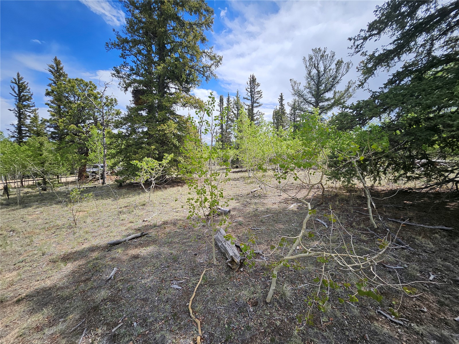 412 Smith And Wesson Road Property Photo 22