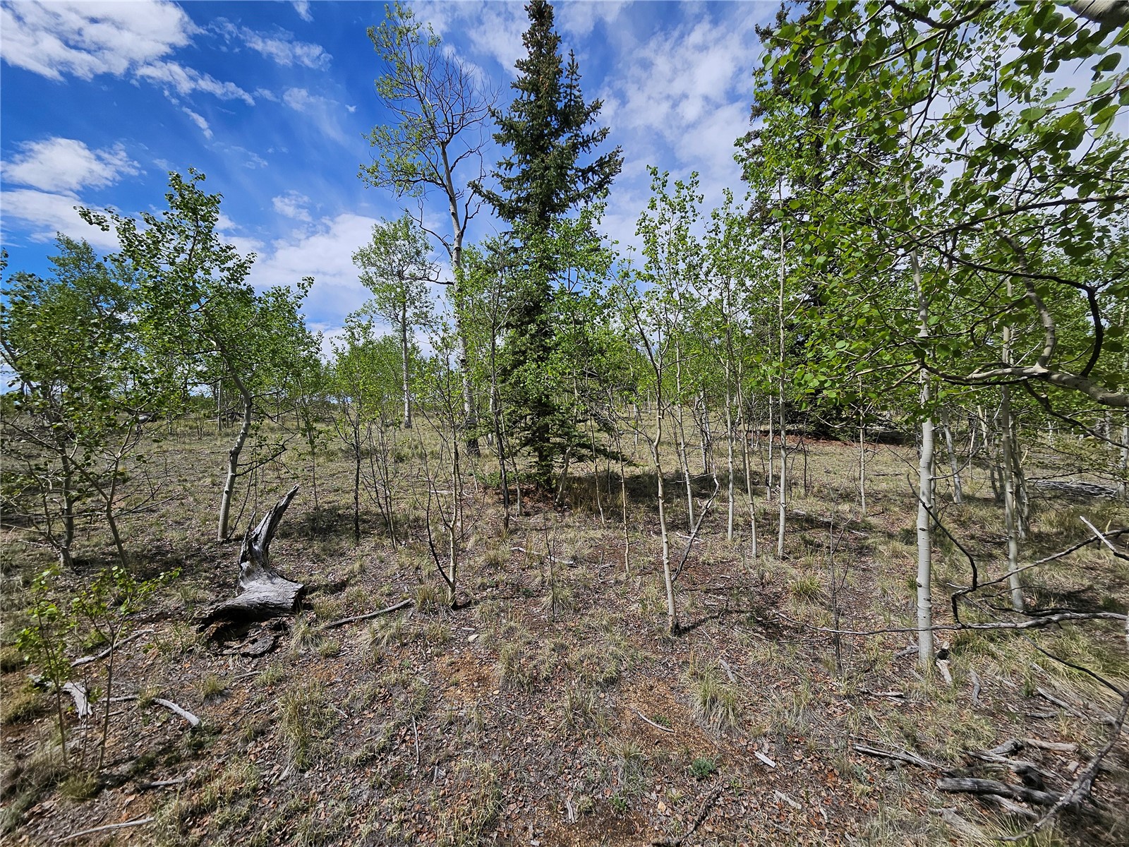 412 Smith And Wesson Road Property Photo 24