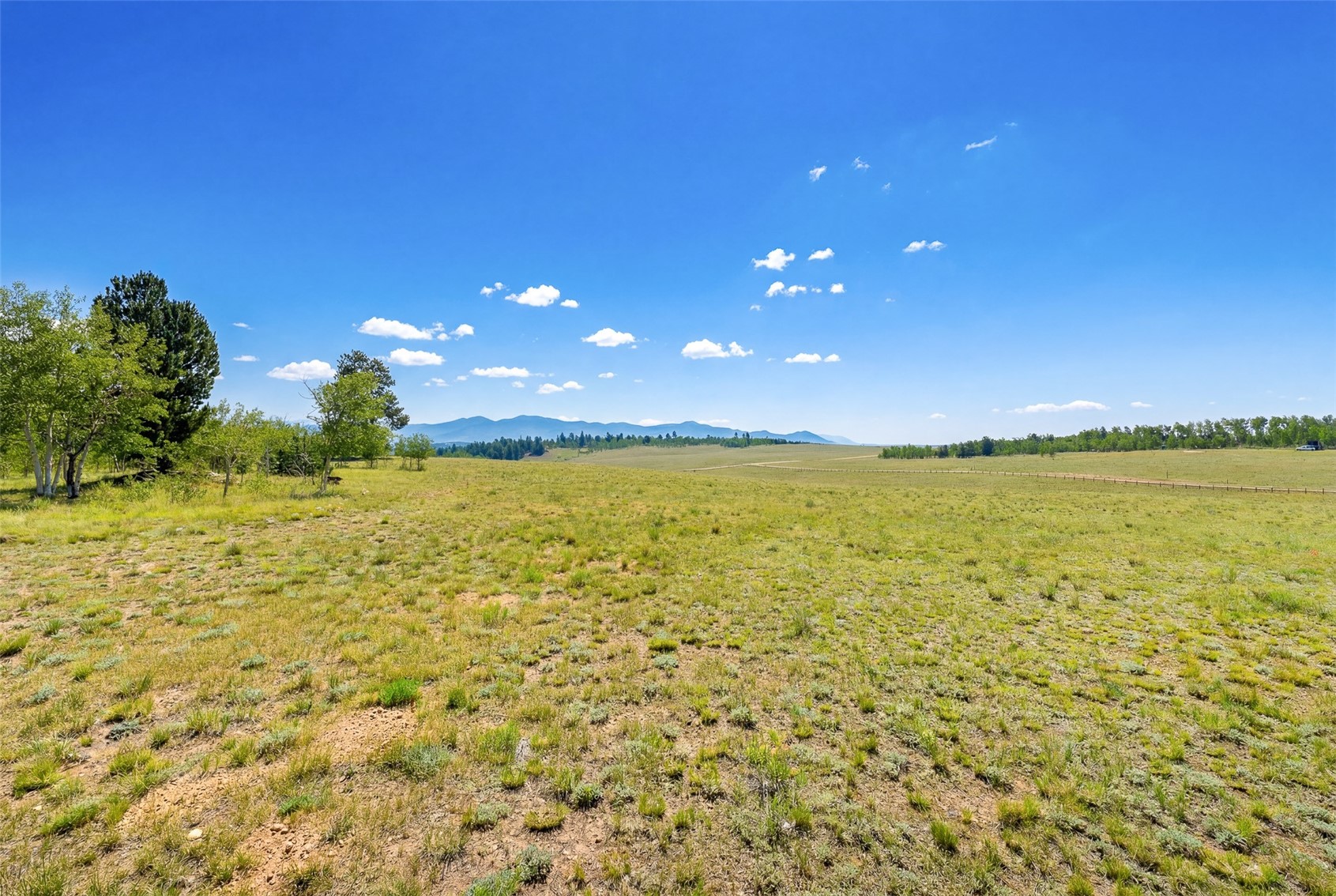 412 Smith And Wesson Road Property Photo 40