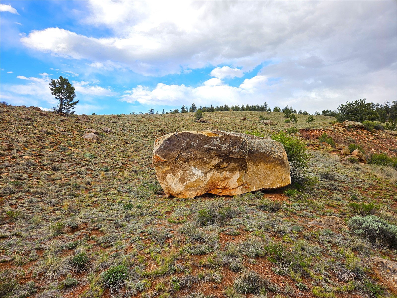 Pcs#25251 Fernando Trail Property Photo 16