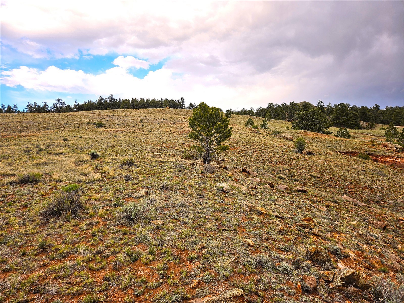 Pcs#25251 Fernando Trail Property Photo 19