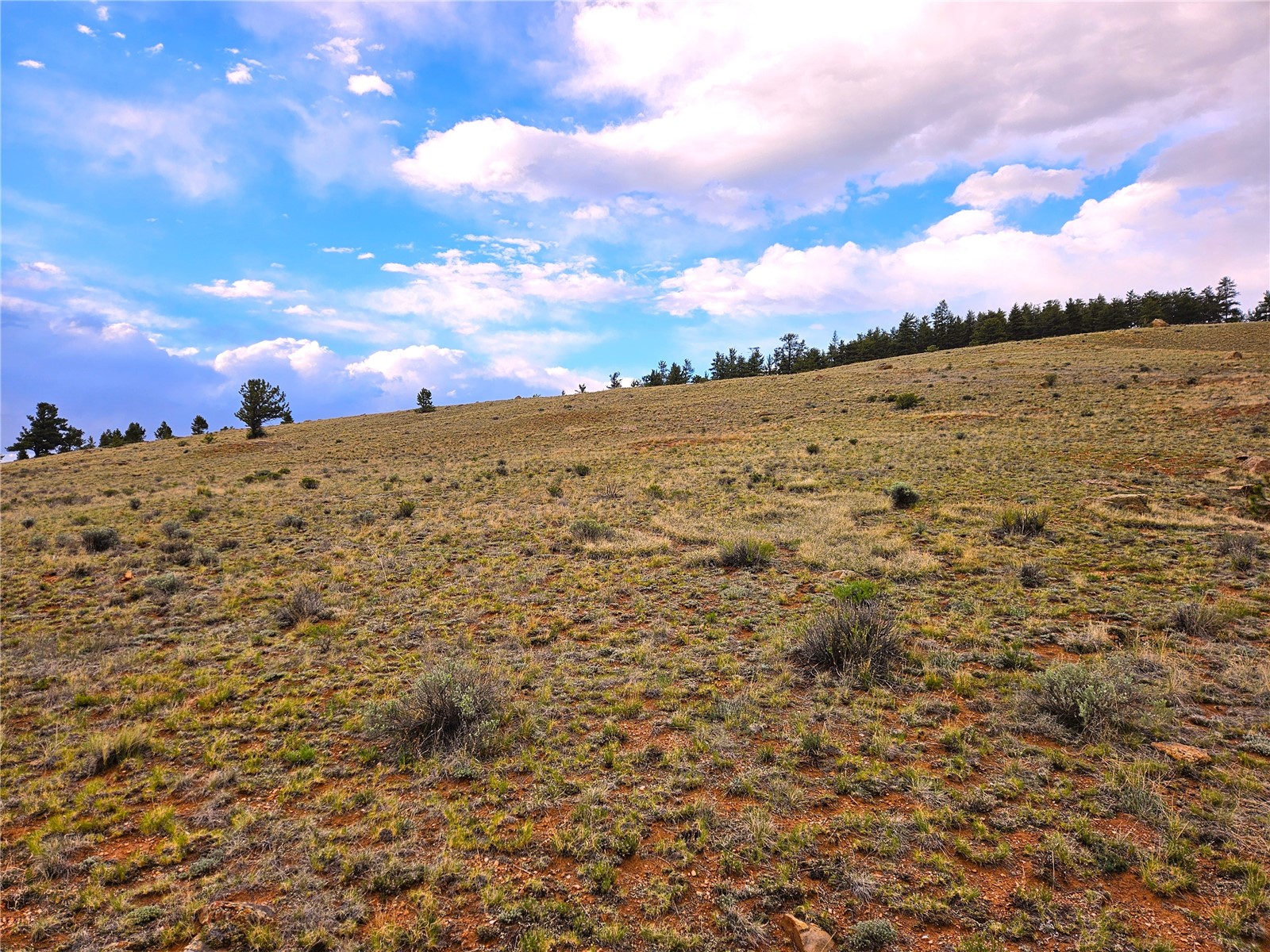Pcs#25251 Fernando Trail Property Photo 20