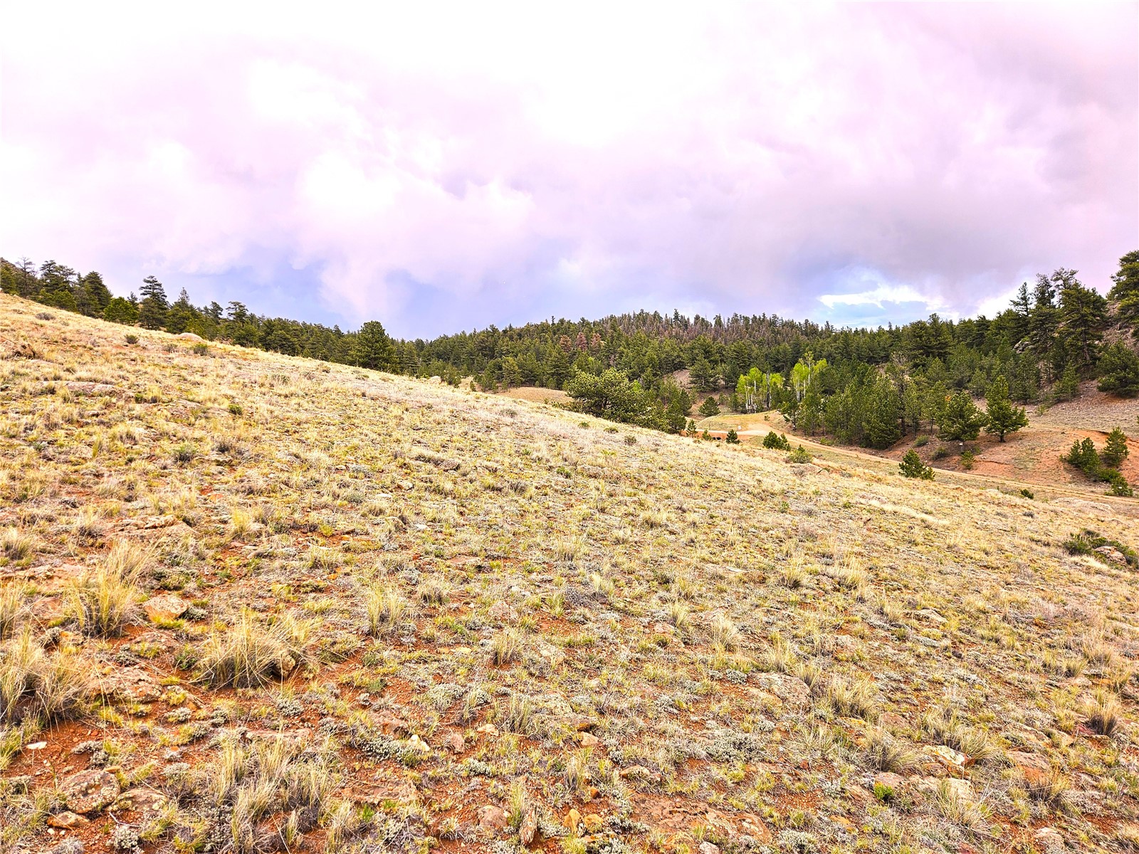 Pcs#25251 Fernando Trail Property Photo 27