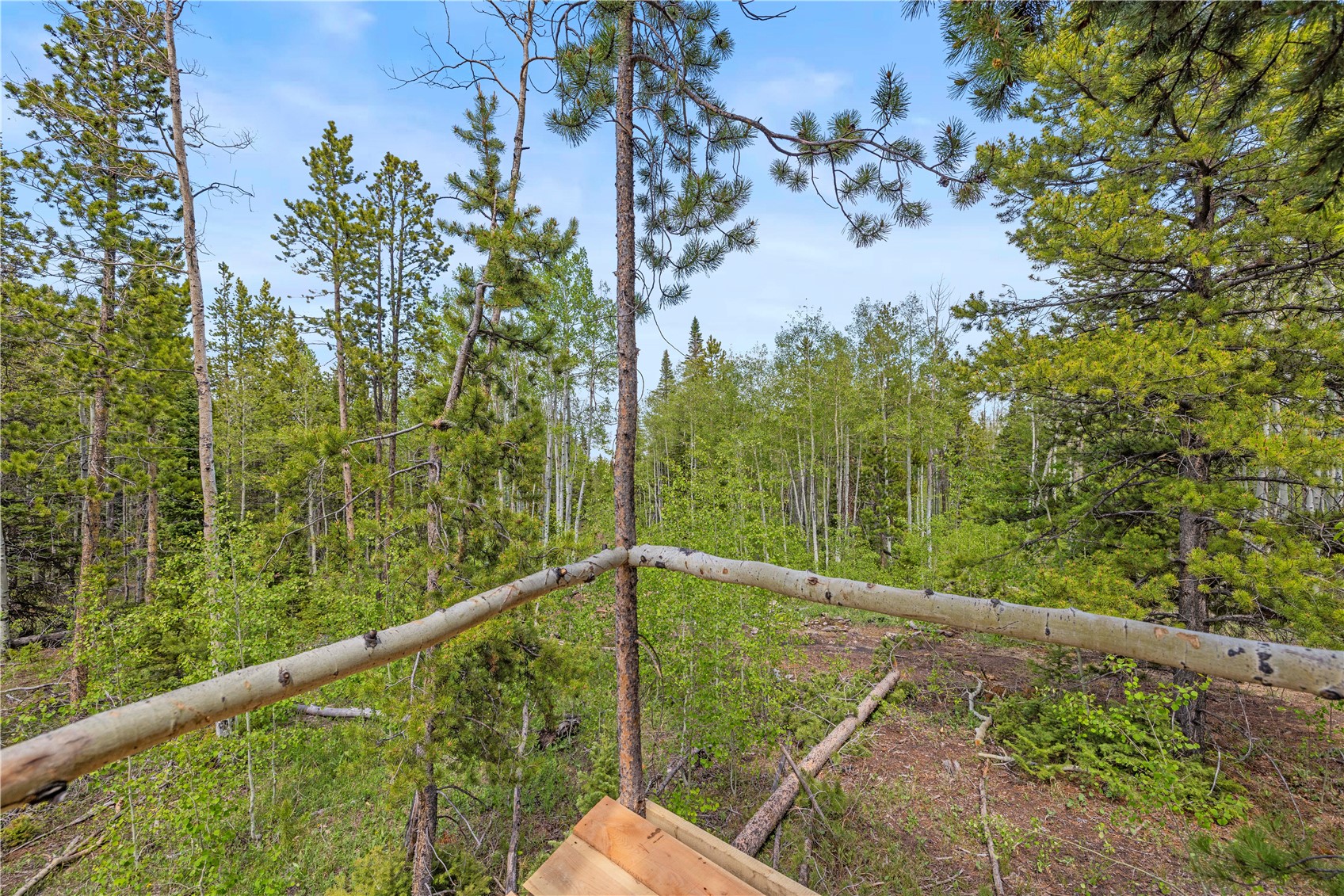 336 Blue Spruce Road Property Photo 13