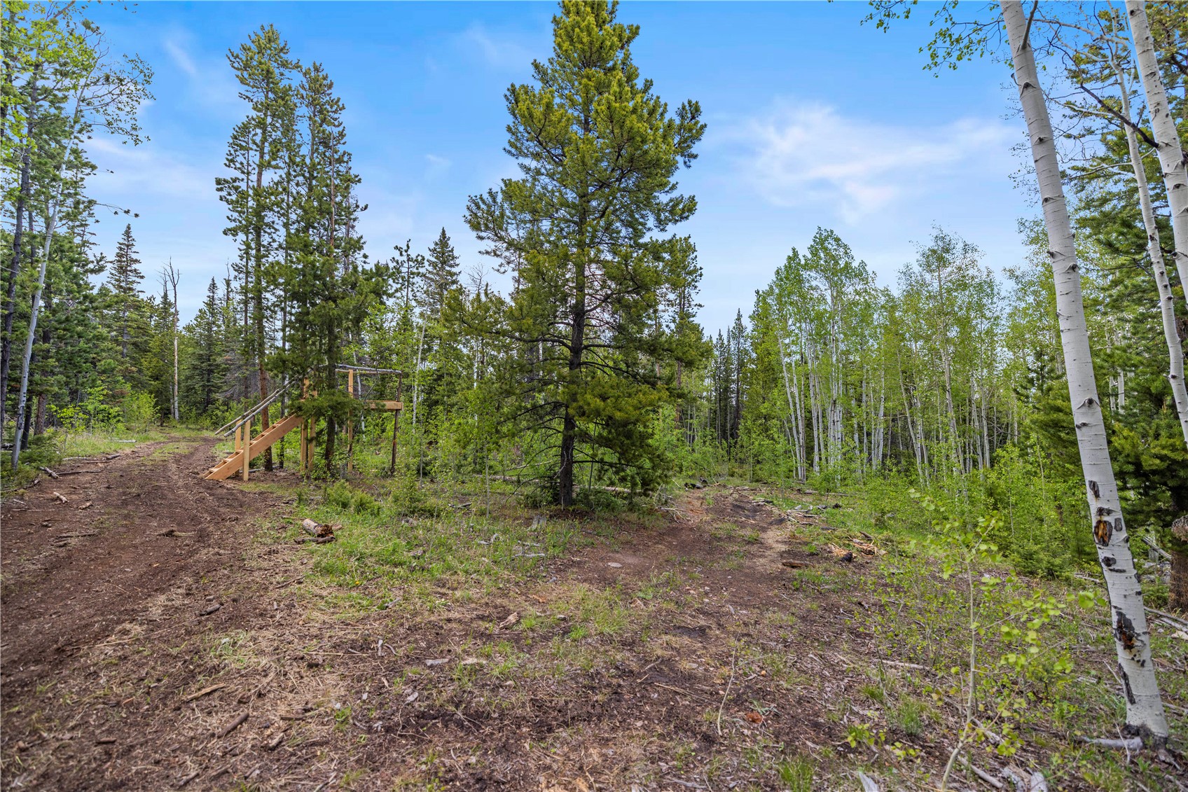 336 Blue Spruce Road Property Photo 16