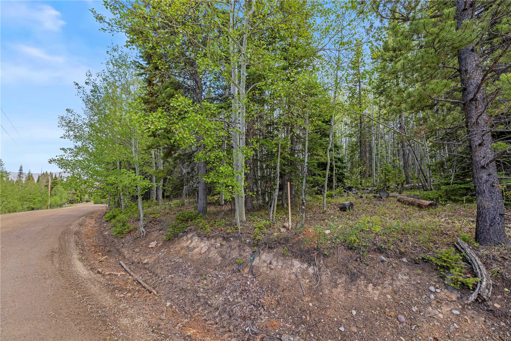 336 Blue Spruce Road Property Photo 18