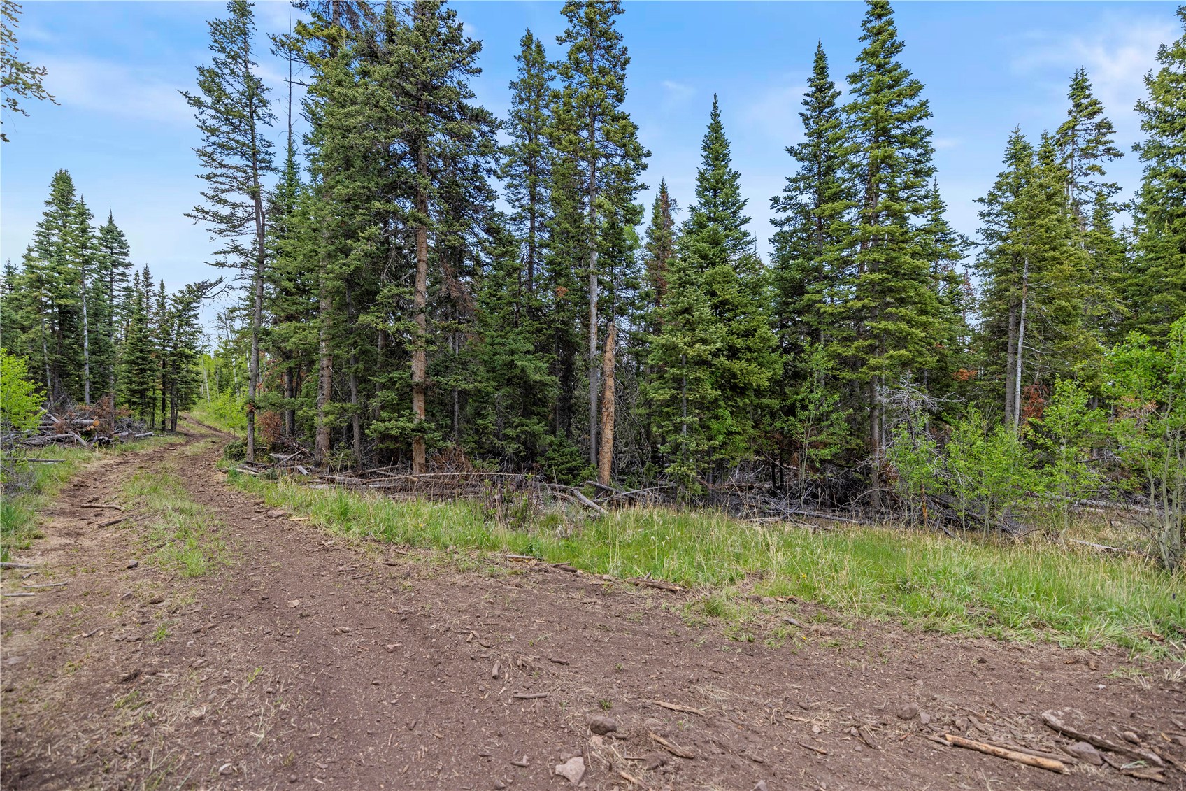 336 Blue Spruce Road Property Photo 19