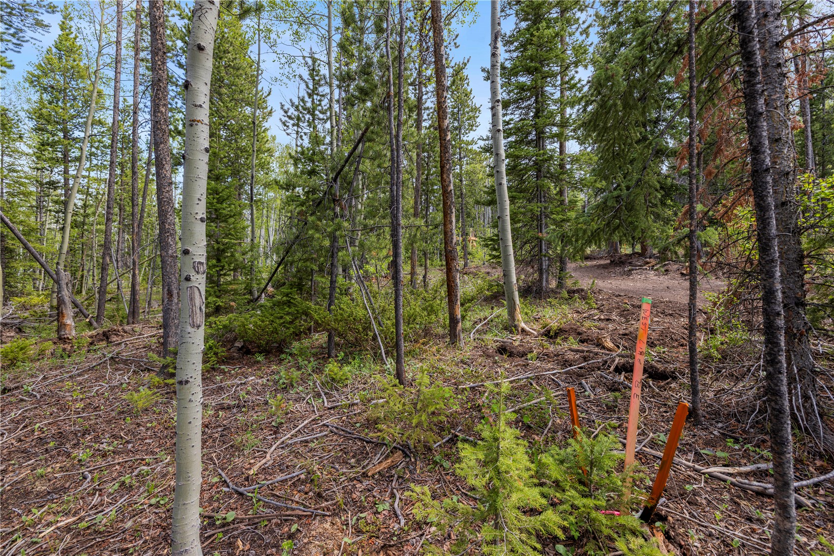 336 Blue Spruce Road Property Photo 23