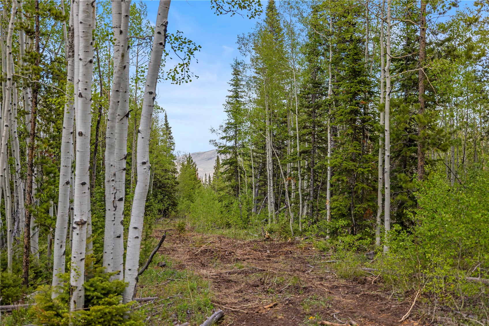 336 Blue Spruce Road Property Photo 26