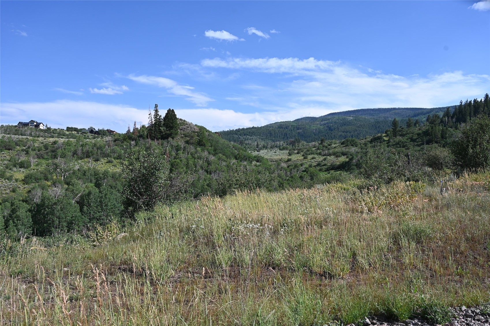 23590 Youngs Creek Way Property Photo 17