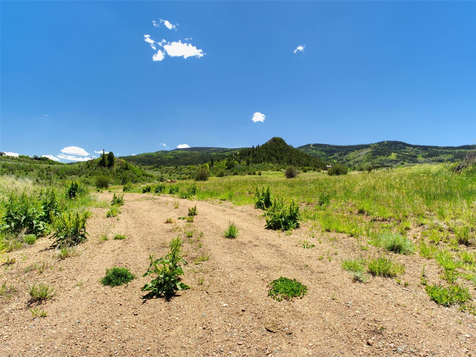 23590 Youngs Creek Way Property Photo 21