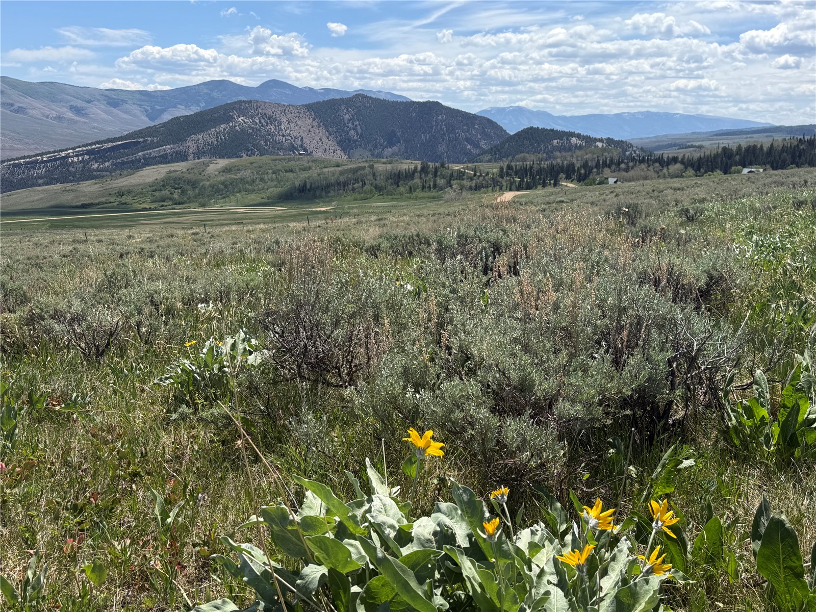 Tbd Spring Creek Ranch Road Property Photo 1