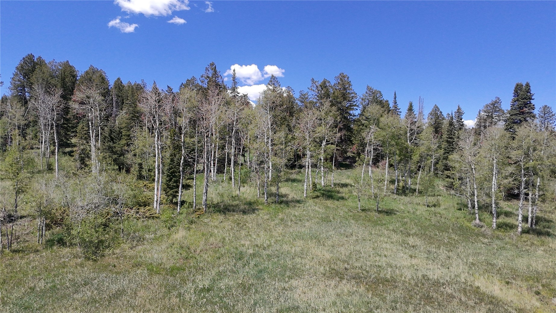 Tbd Spring Creek Ranch Road Property Photo 2