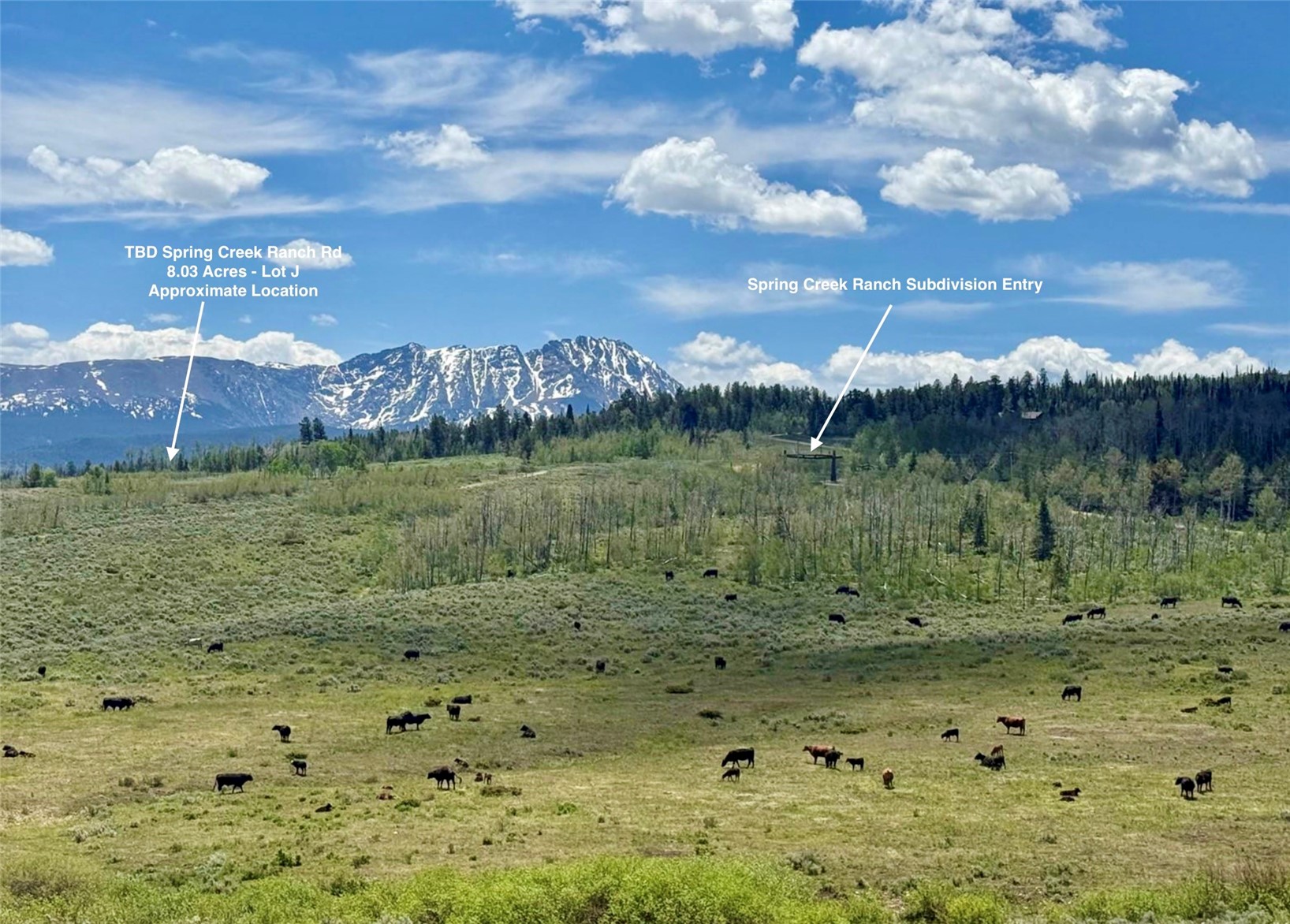 Tbd Spring Creek Ranch Road Property Photo 3