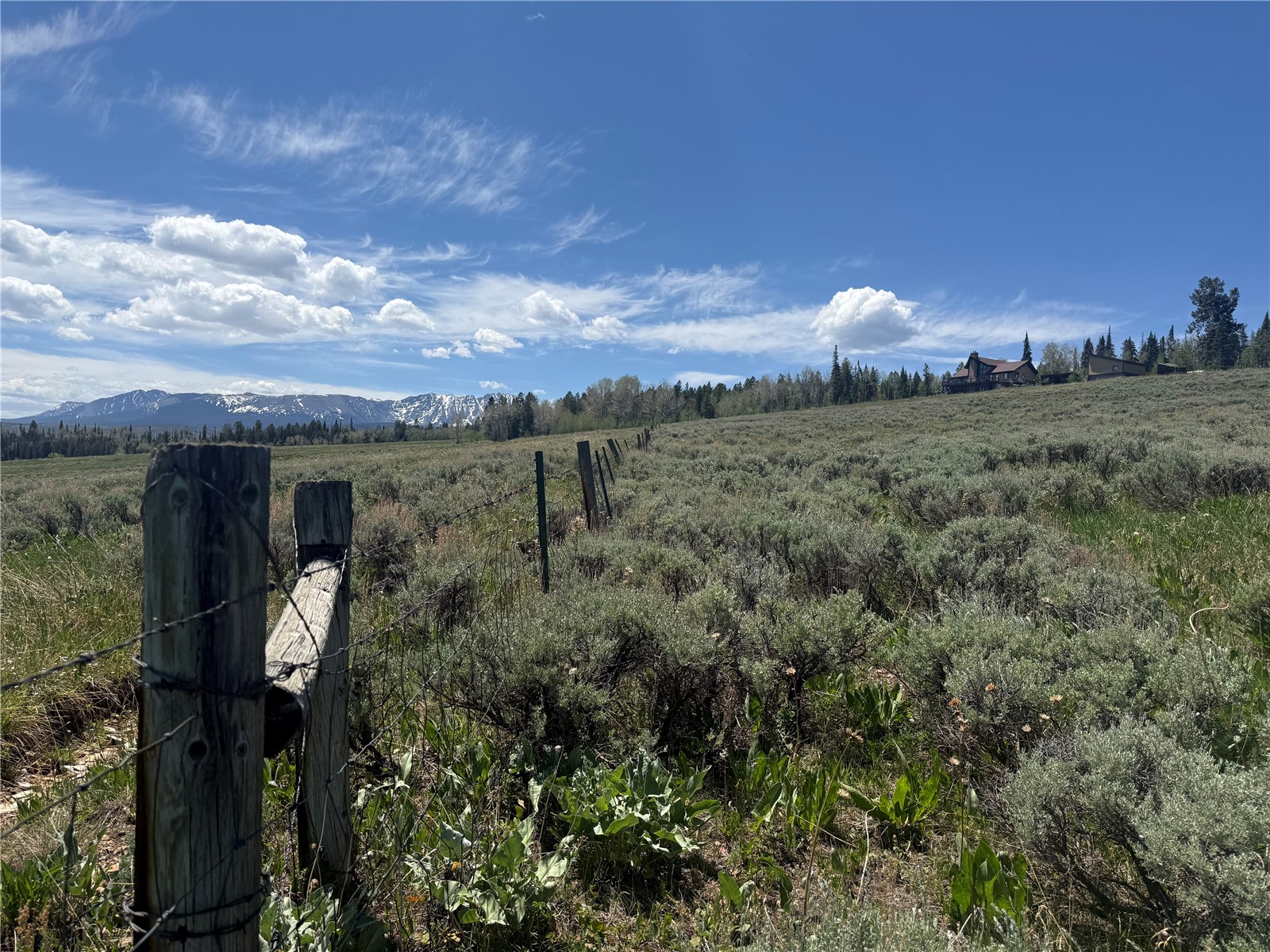 Tbd Spring Creek Ranch Road Property Photo 5