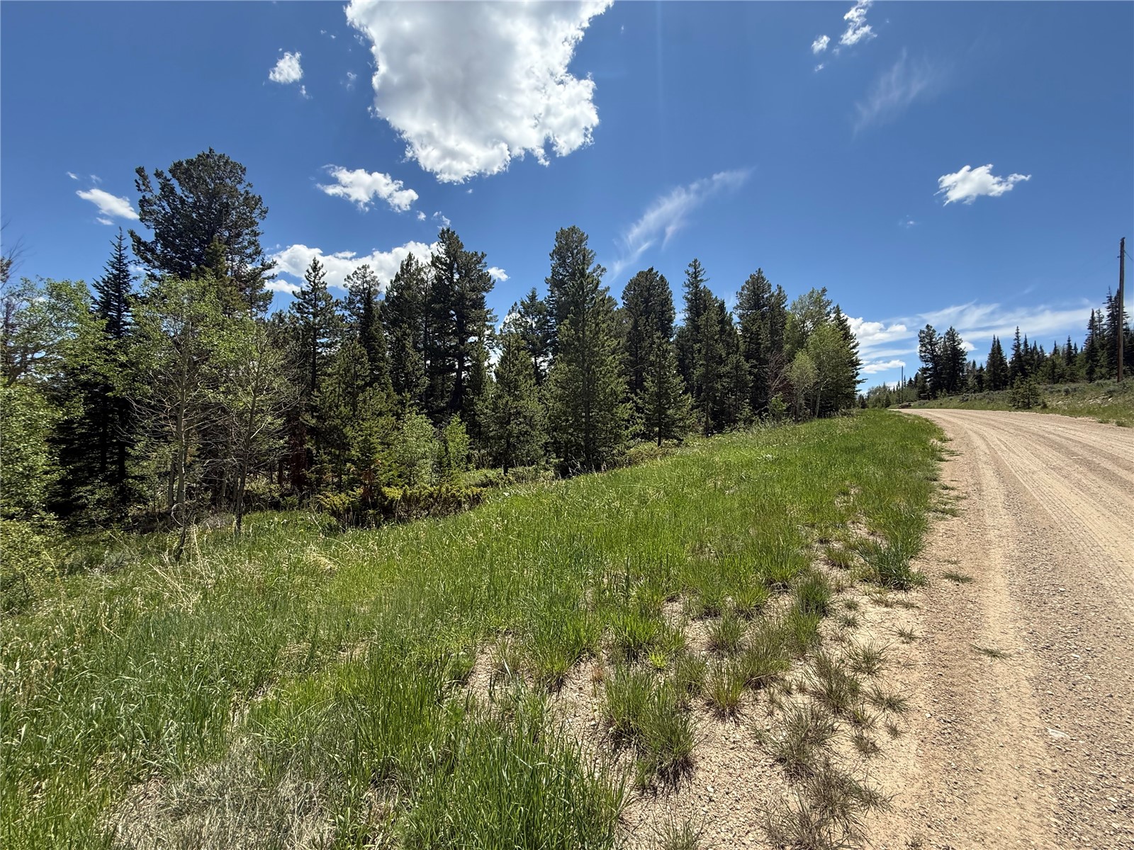 Tbd Spring Creek Ranch Road Property Photo 7
