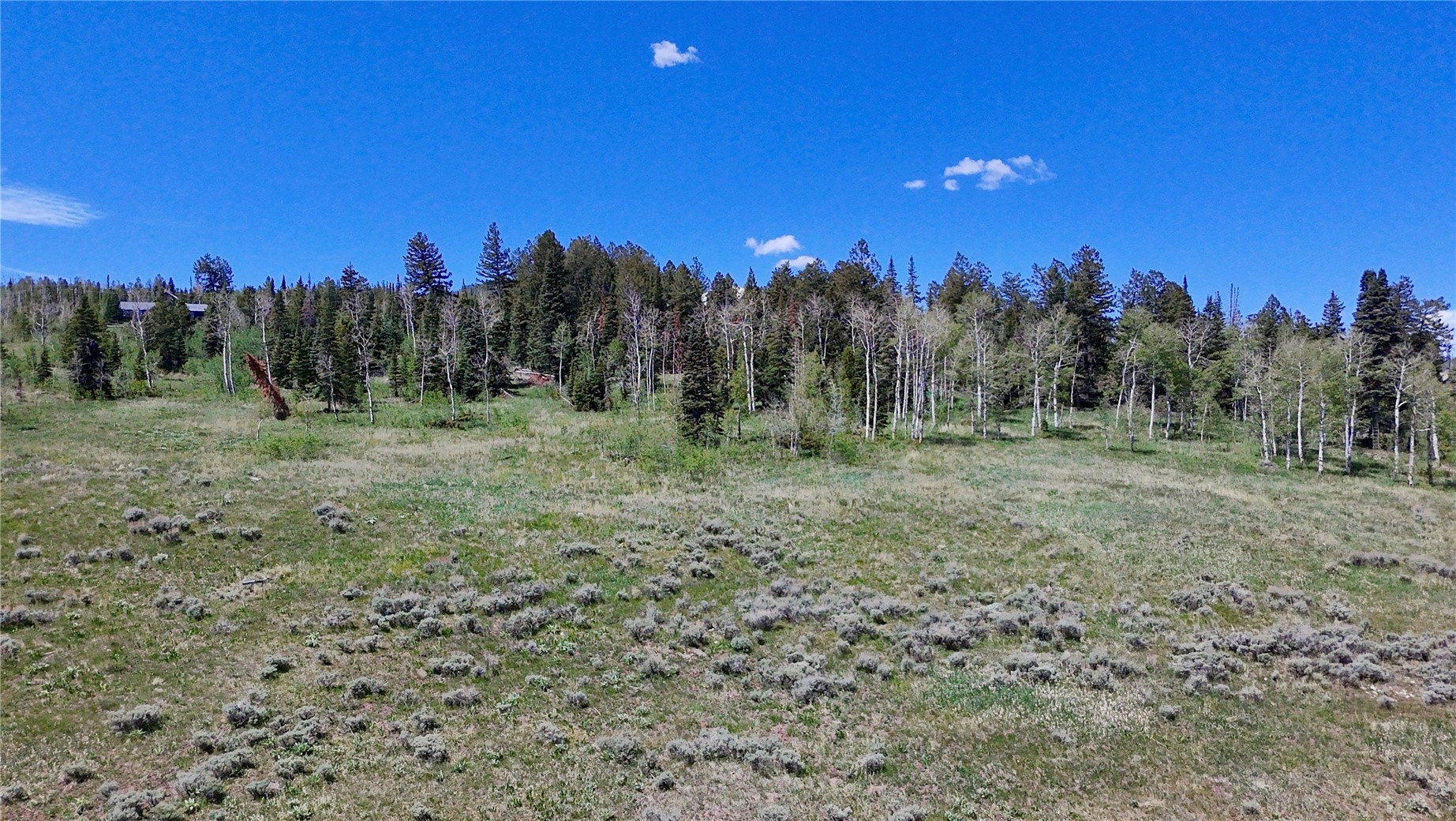 Tbd Spring Creek Ranch Road Property Photo 8